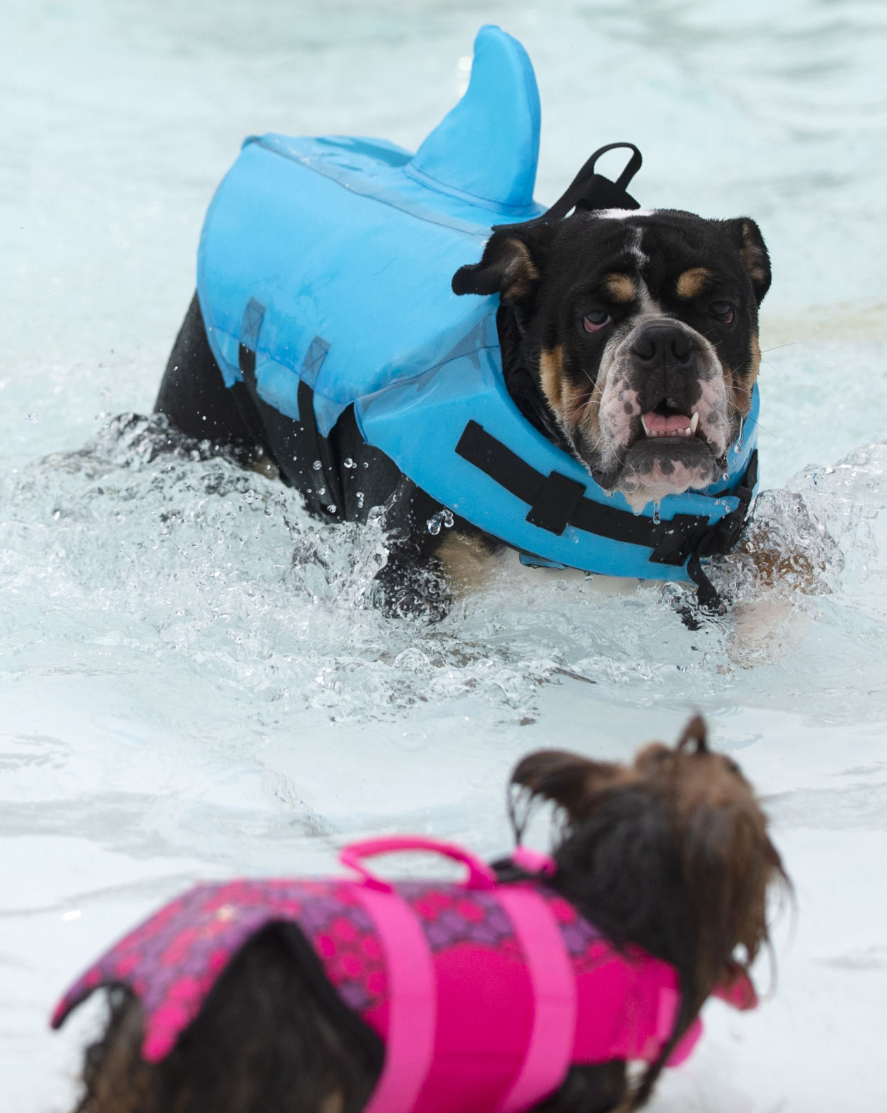 Photos: Summer Water Fun
